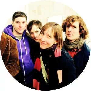 The Ladybug Transistor