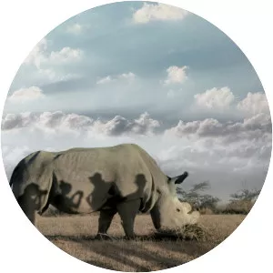 The Last Male on Earth