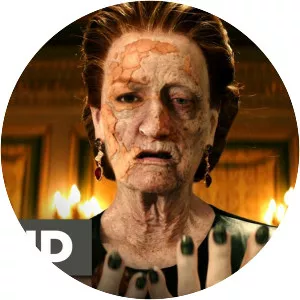 The Last Witch Hunter - 2015 ‧ Fantasy/Action ‧ 1h 46m