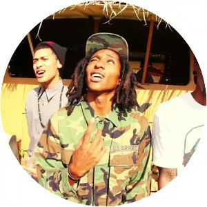 The Late Ones - Musical artist