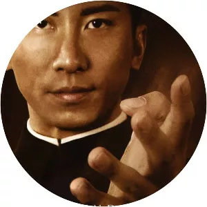 The Legend Is Born: Ip Man