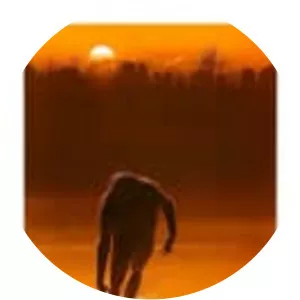 The Legend of Boggy Creek - Film series