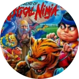 The Legend of the Mystical Ninja