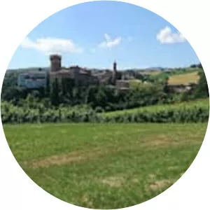 The Levizzano Castle - 