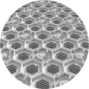 The Library of Babel