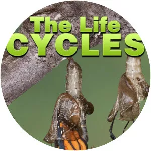 The Life Cycles - TV program