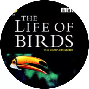 The Life of Birds - TV series