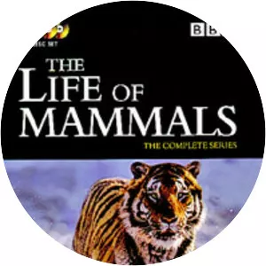 The Life of Mammals