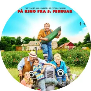 The Little Grey Fergie 1