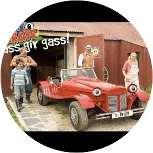 The Little Grey Fergie 2