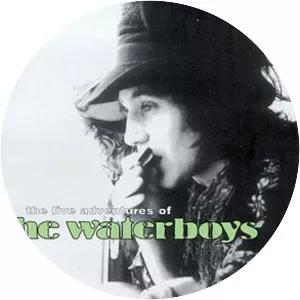 The Live Adventures of the Waterboys