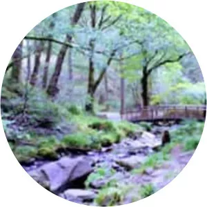 The Lodge Forest Visitor Centre - 