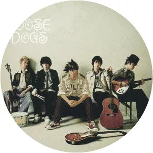 THE LOOSE DOGS