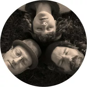 The Lost Trades - Singer