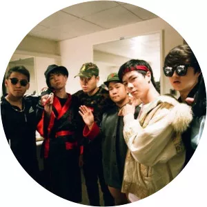 The Low Mays - Musical artist