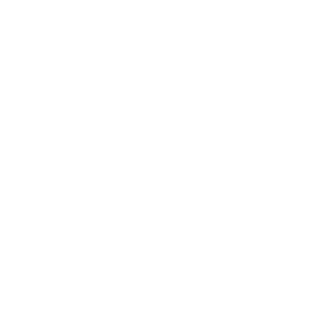 The Lytics
