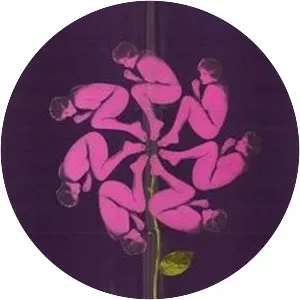 The Magic Garden of Stanley