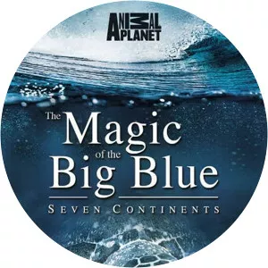 The Magic ofthe Big Blue