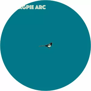 The Magpie Arc