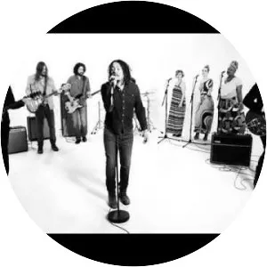 The Magpie Salute - Rock band