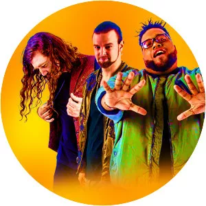 The Main Squeeze - Band