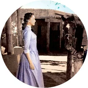 The Man from Laramie