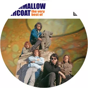 The Marshmallow Overcoat