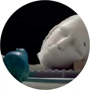 The Marvelous Misadventures of the Stone Lady - 2019 ‧ Fantasy/Short ‧ 20 mins