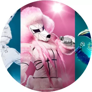 The Masked Singer - American television series