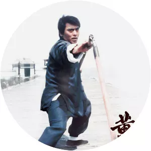 The Master Of Kung Fu