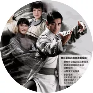 The Master of Tai Chi