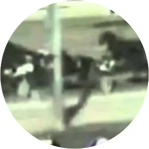 The Meadows Racetrack & Casino