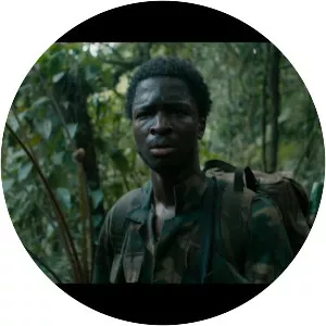 The Mercy of the Jungle