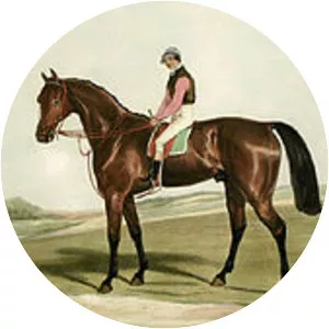 The Merry Monarch photograph