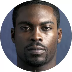 The Michael Vick Project
