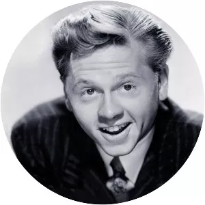 The Mickey Rooney Show