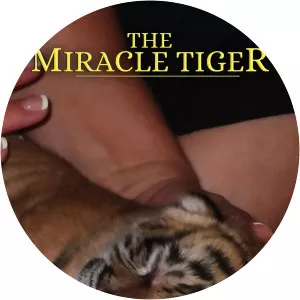 The Miracle TigerSince 2016 - 2016 ‧ 1 season