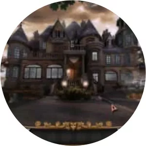 The Mirror Mysteries