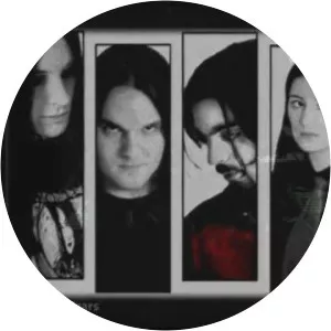 The Mist of Avalon - Musical group