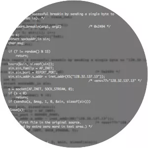 The Morris Worm - Felony