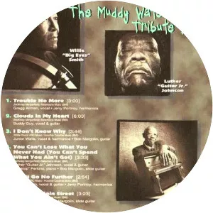 The Muddy Waters Tribute Band