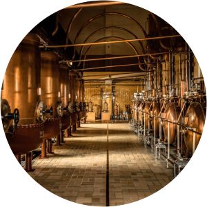 the museum of natural science carré cointreau - visite distillerie | boutique | séminaires | masterclasses - visites sur réservation uniquement