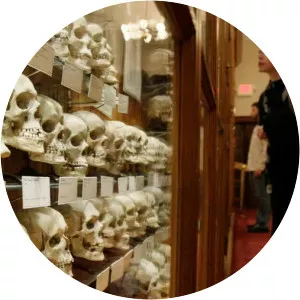 The Mütter Museum at The C. . .