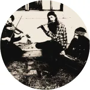 The Myrrors - Musical group