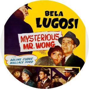 The Mysterious Mr. Wong