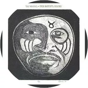 The Natch'l Blues - Studio album by Taj Mahal