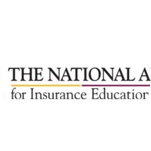 The National Alliance