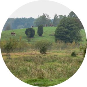 The nature reserve Risen Genarp - 