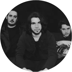 The Necromancers - Musical group