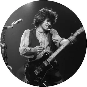 The New Barbarians - Rock band